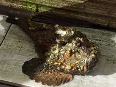 -量贩海鲜餐厅