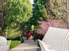 -南翔镇银翔湖公园