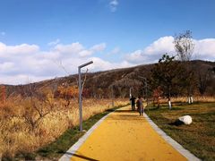 -南泥湾风景区