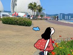 -野狸岛