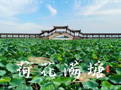 -锦溪古镇