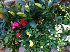 -真爱中国餐馆·年华店(朱雀大街店)