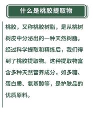 点击看大图 -玛莲朵·海菲秀冰珀科