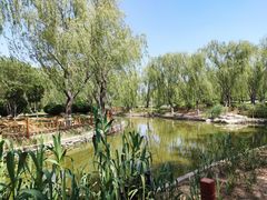 -燕郊植物园