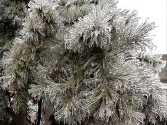 -吉林大学(前卫南校区)