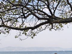 -抚仙湖禄充风景区
