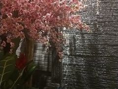 -富侨养生(康乾店)