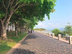 -深圳湾公园(南山区)