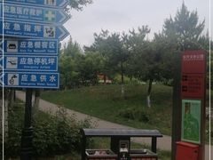 -东升文体公园