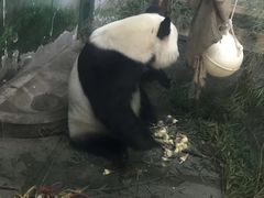 -无锡动物园·太湖欢乐园