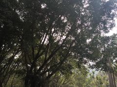 -广东外语外贸大学(白云山校区)