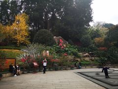 -乌山风景区