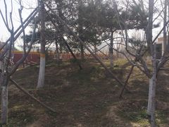 -回龙观体育文化公园