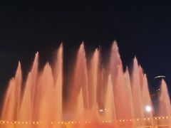 -鱼酷活鱼烤鱼(恒隆广场店)