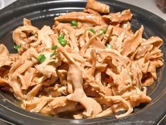 -佬肥猫(国华广场店)
