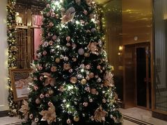 -东海朗廷酒店·廷廊 Palm Court