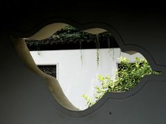 -水绘园