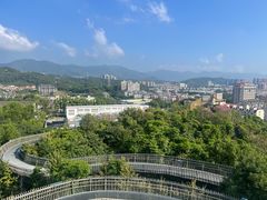 -福道
