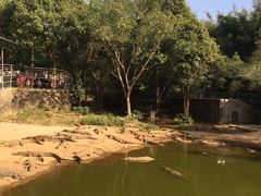 -广东茂名森林公园