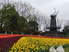 -上海鲜花港