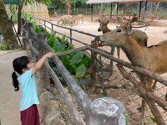-海南热带野生动植物园