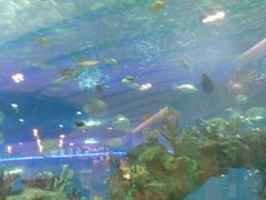 -常州海昌海洋探索馆