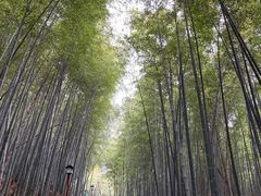 -穹窿山景区