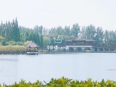 -沙家浜风景区