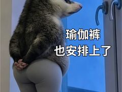 -英派斯健身(海信国际中心馆)