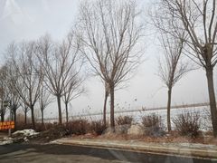 -呼兰河口湿地公园