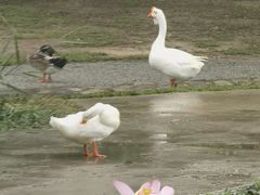 -太阳宫公园