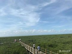 -北海金海湾红树林生态旅游区