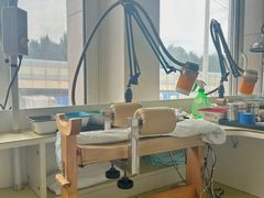 -派美特宠物医院·核磁CT·骨科肿瘤·疑难转诊(沈农禾丰店)