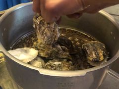 -千岛蚝高压锅生蚝·人参火锅(白云万达店)