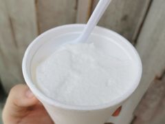 -洪馨椰子