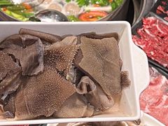 -刘少华贵州小黄牛·鲜牛肉火锅(总店)