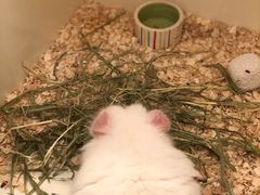 -龙猫仔乐园(惠福东路店)