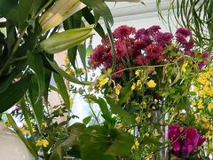 -春暖花开(西溪店)