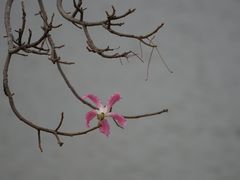 -风云岭森林公园