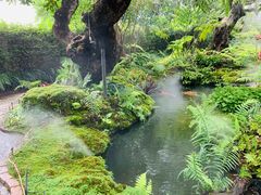 -Chom Cafe and Restaurant