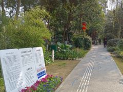 -成都市活水公园