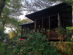 -深圳国际园林花卉博览园