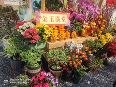 -海心沙亚运公园