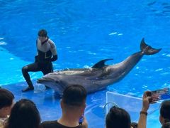 -海合安成都极地海洋公园