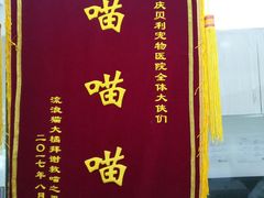 -贝利宠物医院·骨科·眼科·肿瘤转诊中心(南坪诊疗中心)