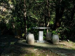 -金龙寺国家森林公园