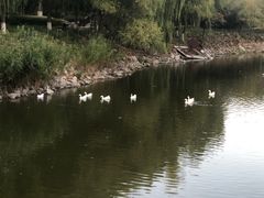 -北京张裕爱斐堡酒庄