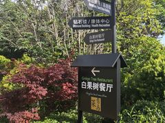 -青岛海景花园大酒店