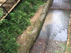 -龙岩森林水乡景区