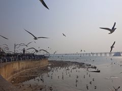 -星海广场